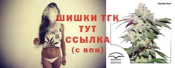 шишки Нязепетровск